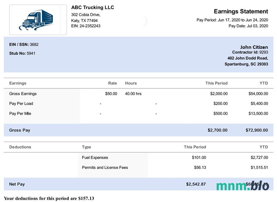 USA South Carolina TRUCKING LLC paystub w formacie Word i PDF